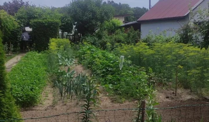 Działka rod Stare Bielice