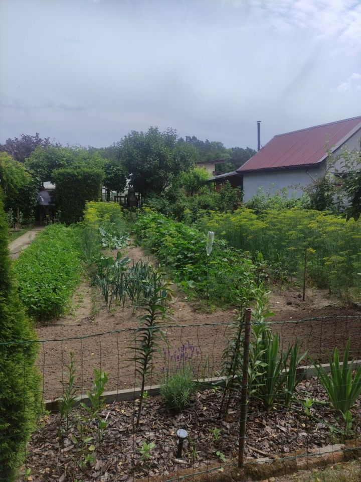 Działka rod Stare Bielice. Zdjęcie 1