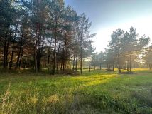 Działka budowlana Kuty. Zdjęcie 1