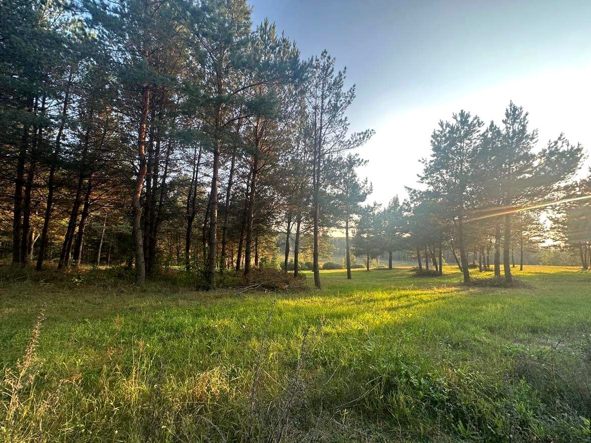 Działka budowlana Kuty. Zdjęcie 2