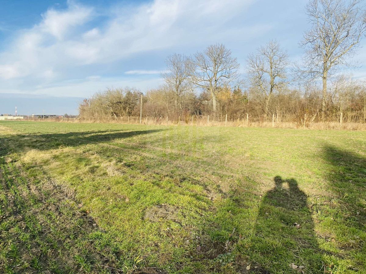 Działka budowlana Dębówka. Zdjęcie 7