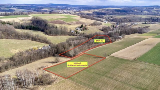 Działka budowlana Brzeziny. Zdjęcie 1