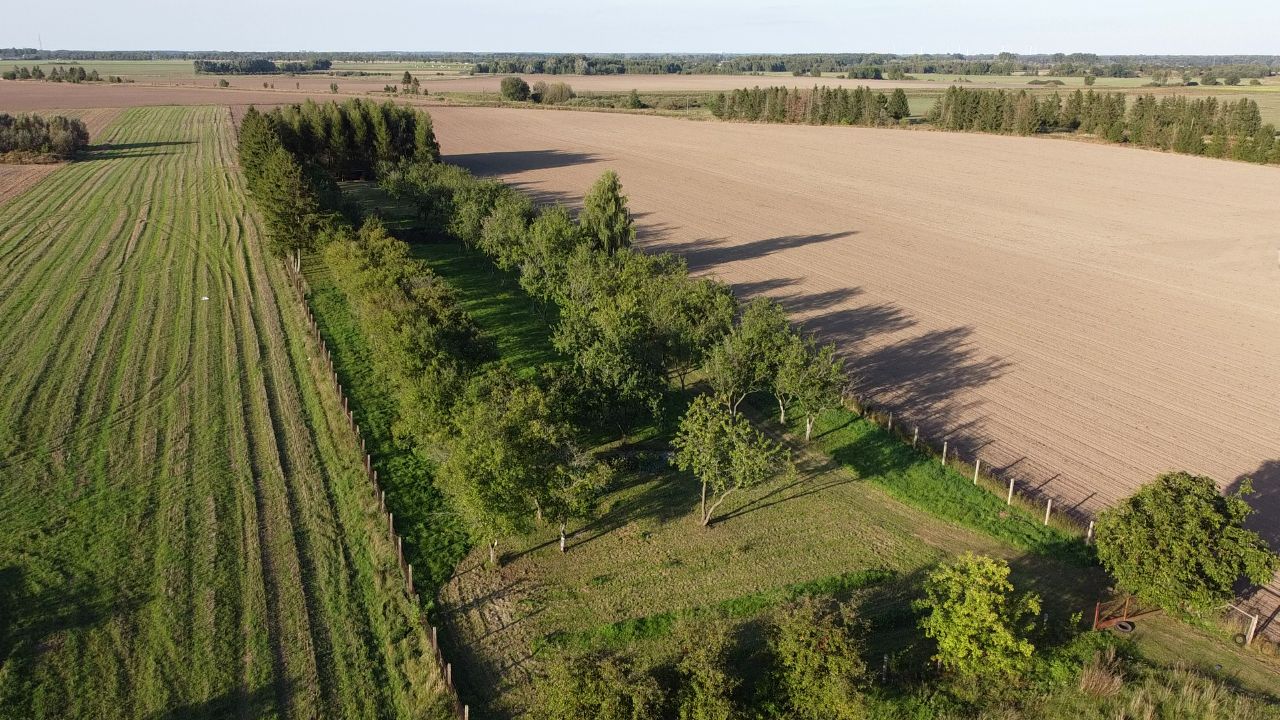 Działka rolno-budowlana Jarszewo. Zdjęcie 4