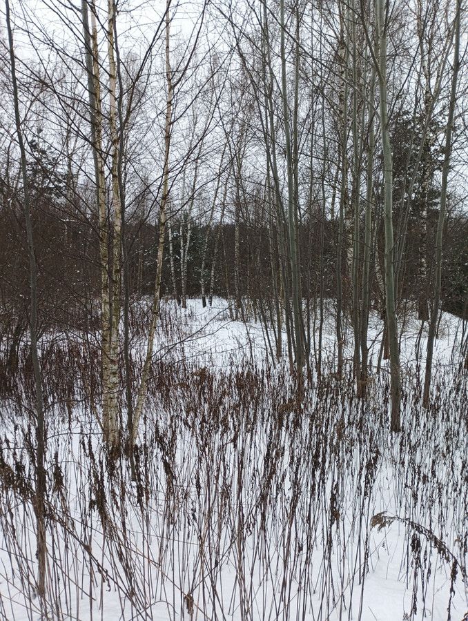 Działka budowlana Klembów, ul. Łąkowa. Zdjęcie 3