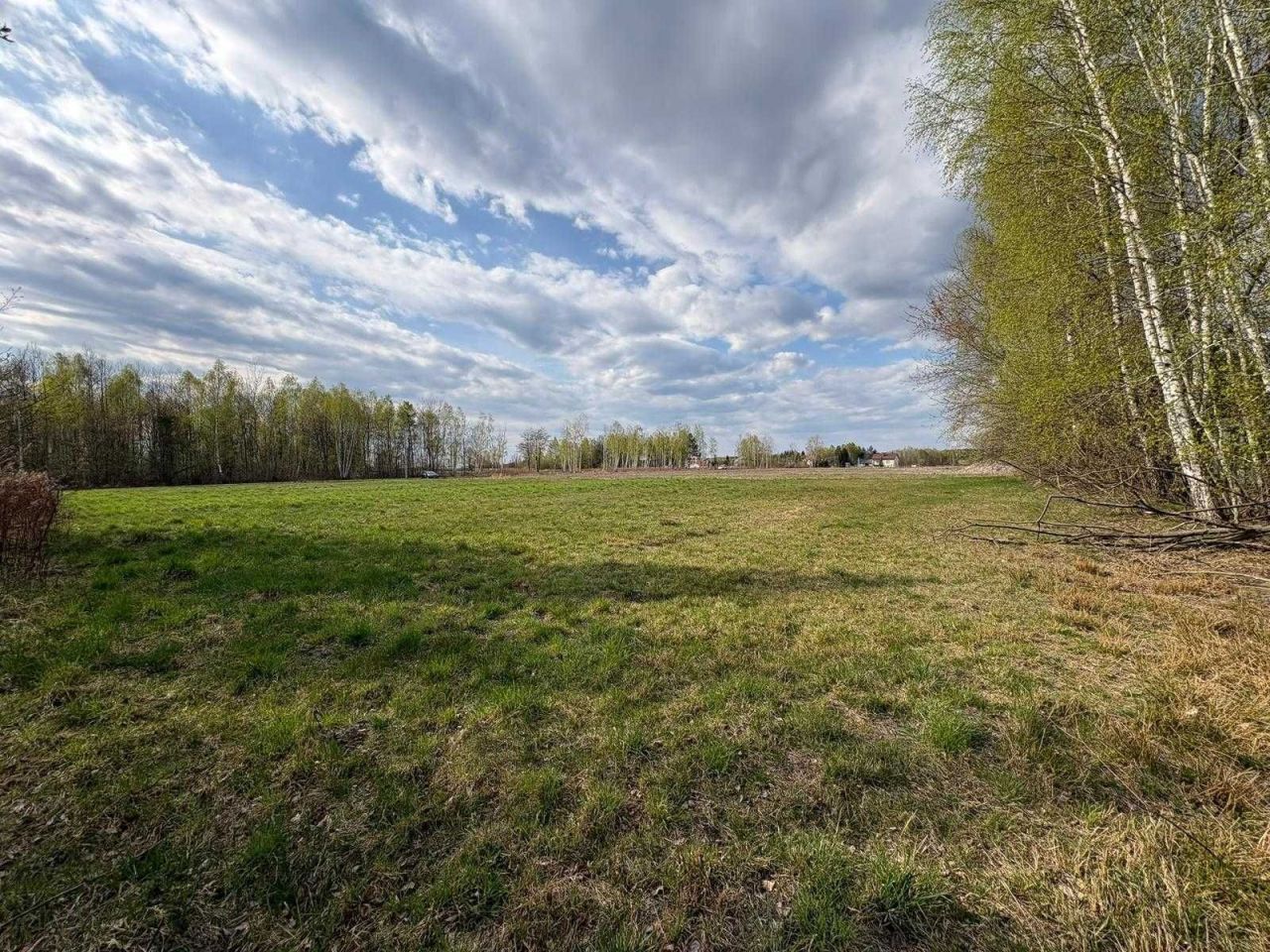 Działka budowlana Dziechciniec. Zdjęcie 6