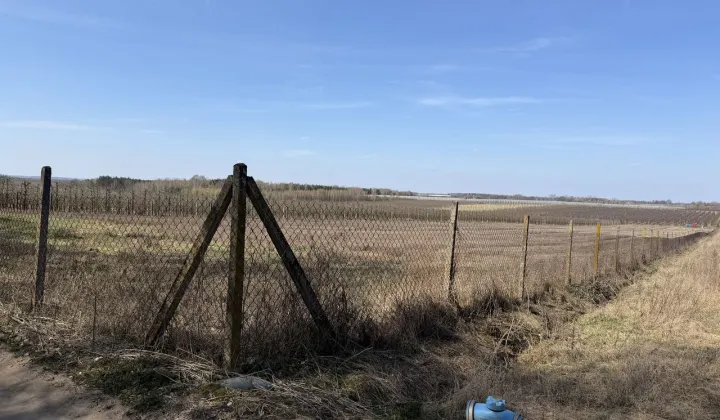 Działka rolna Gołyń