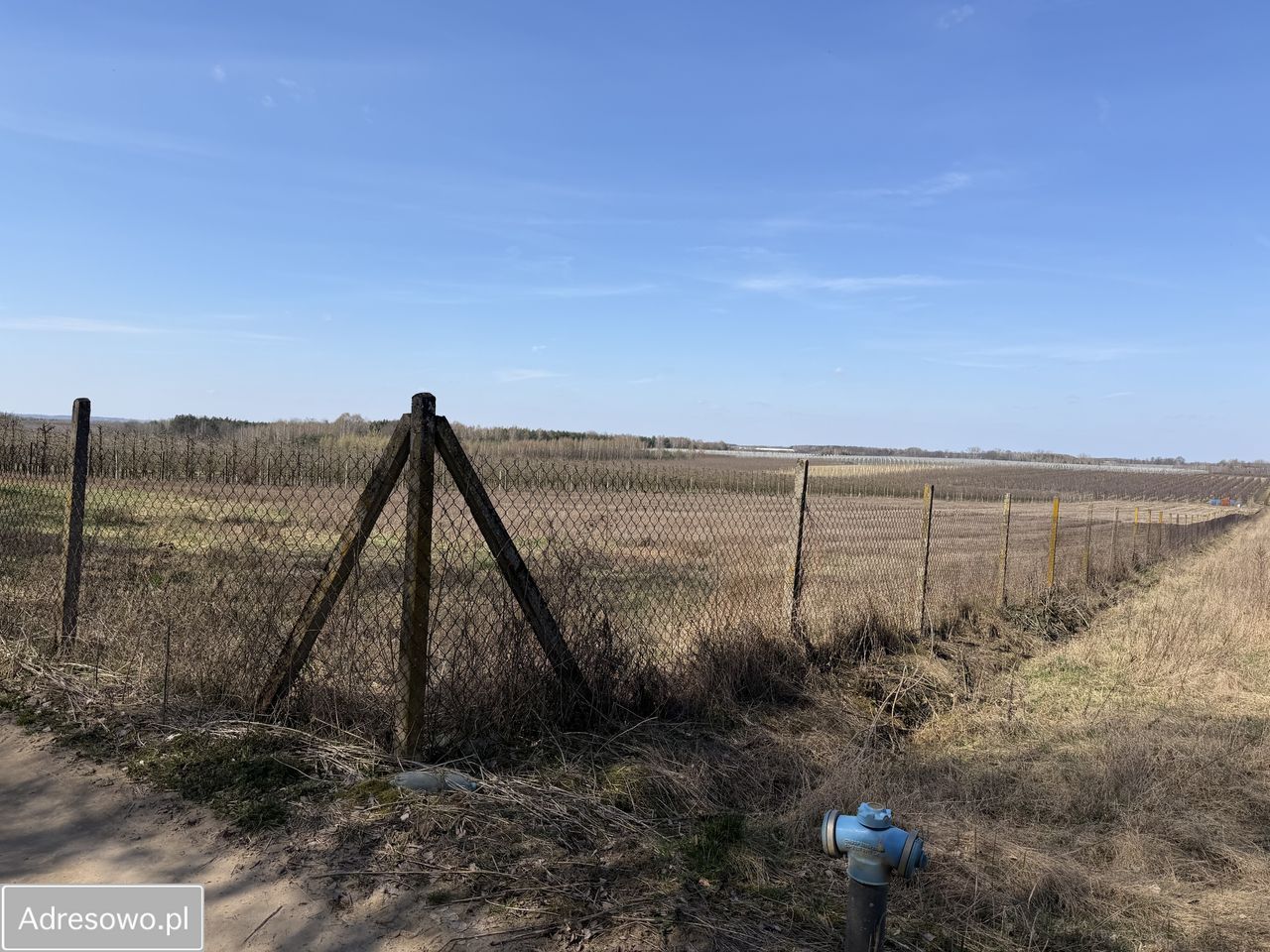 Działka rolna Gołyń. Zdjęcie 1