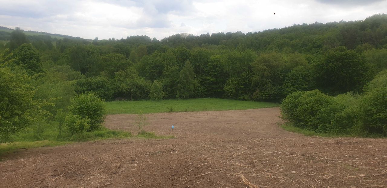 Działka rolna Nielepice. Zdjęcie 7