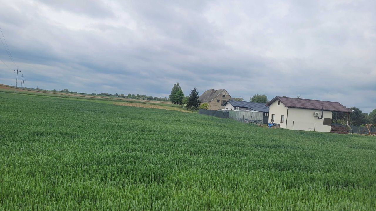 Działka rekreacyjna Miłachówek. Zdjęcie 7