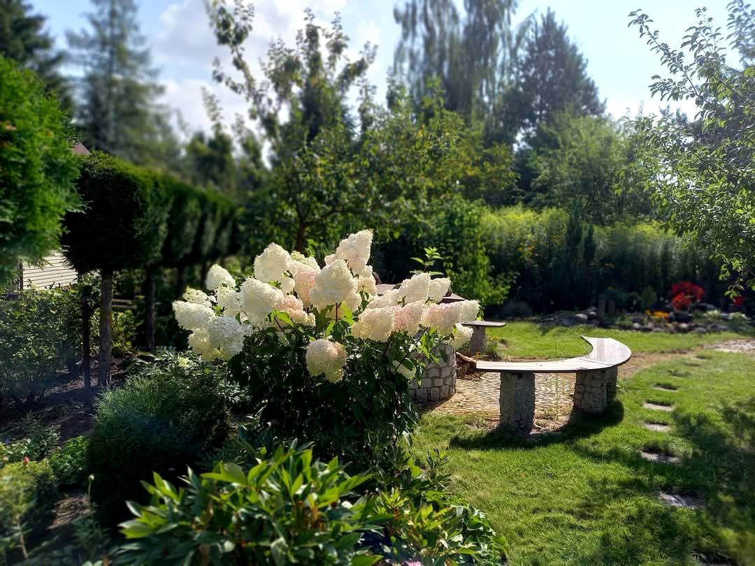 Działka rod Niewodnica Kościelna, ul. Działkowców. Zdjęcie 12