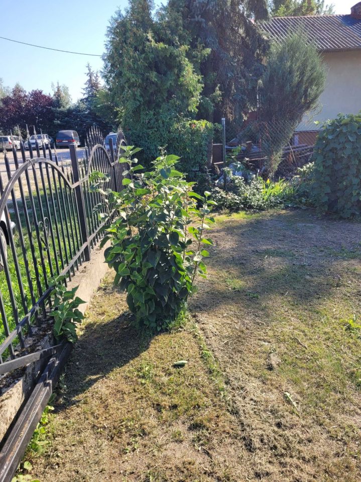 Działka budowlana Stare Boryszewo. Zdjęcie 4