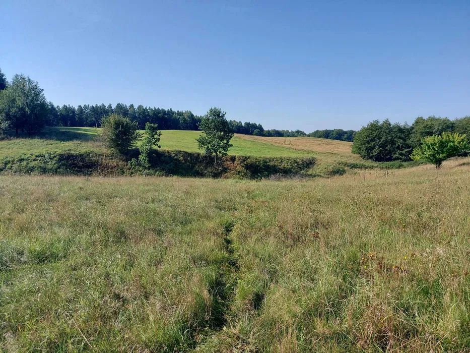 Działka budowlana Pomlewo, ul. Sosnowa. Zdjęcie 6