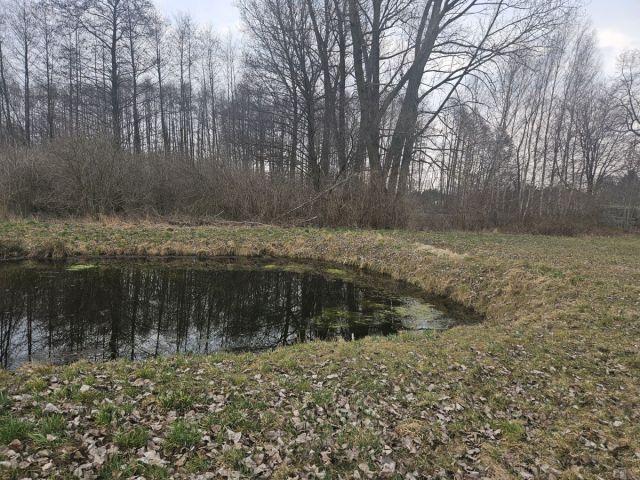 Działka rolno-budowlana Sanie. Zdjęcie 7