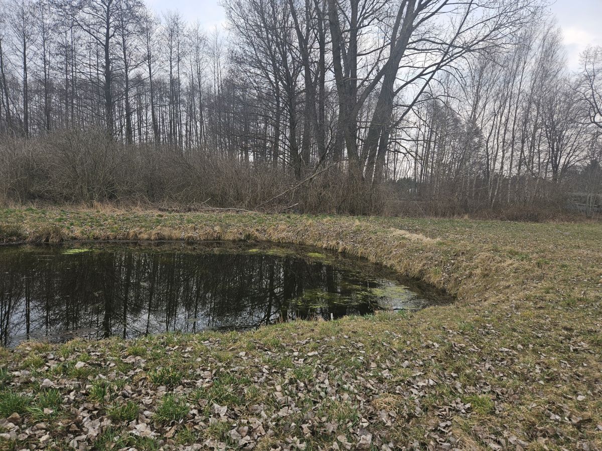 Działka rolno-budowlana Sanie. Zdjęcie 7