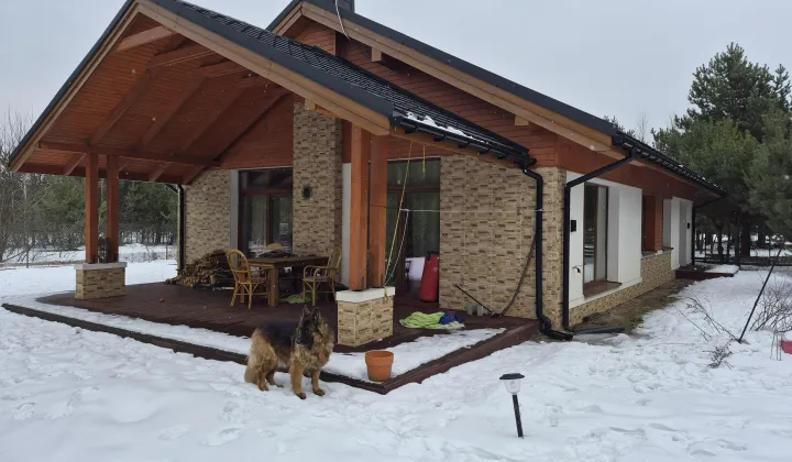 dom wolnostojący, 4 pokoje Żółwin, ul. Żaby