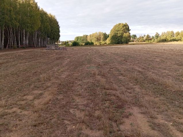 Działka budowlana Szczawin Kościelny. Zdjęcie 1
