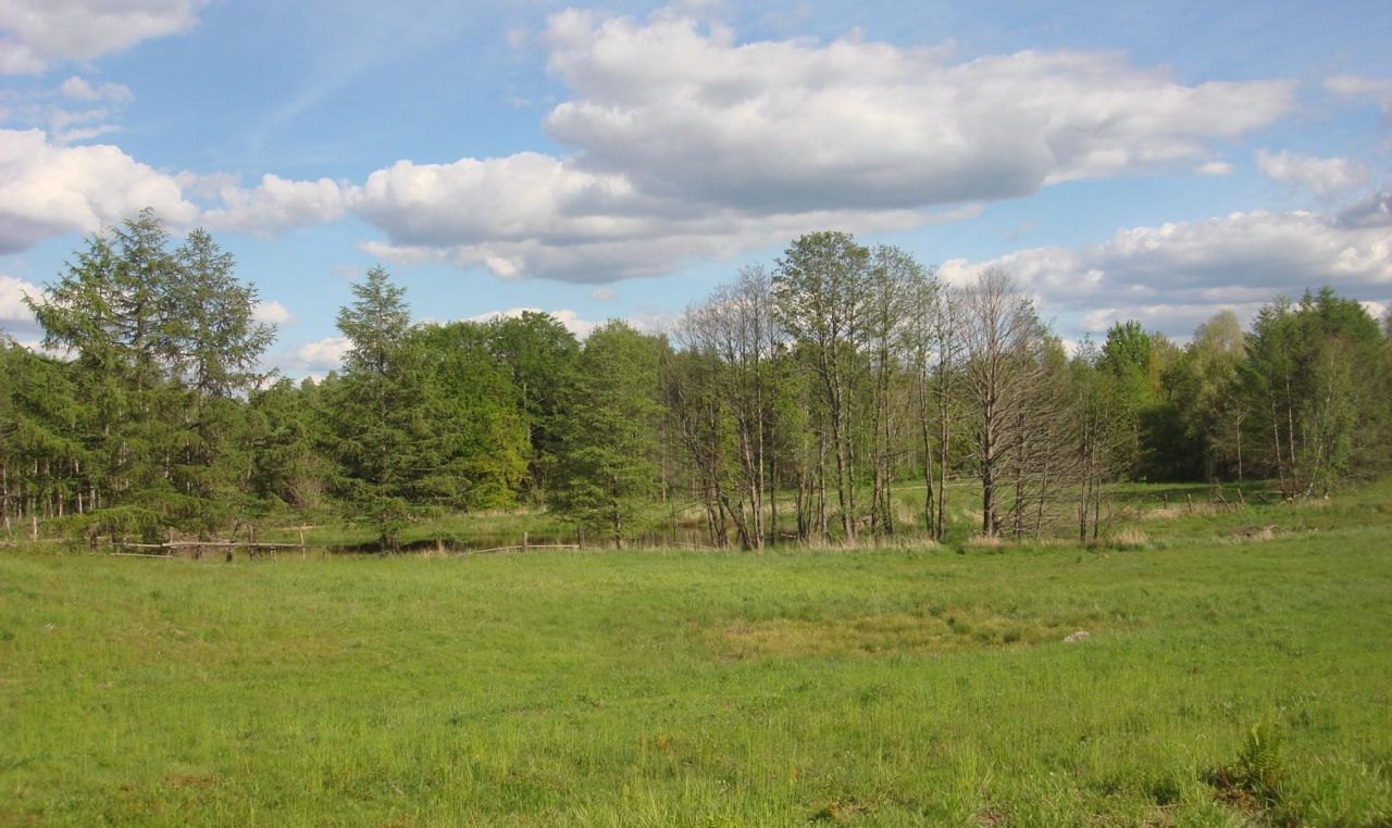 Działka rolno-budowlana Linówko