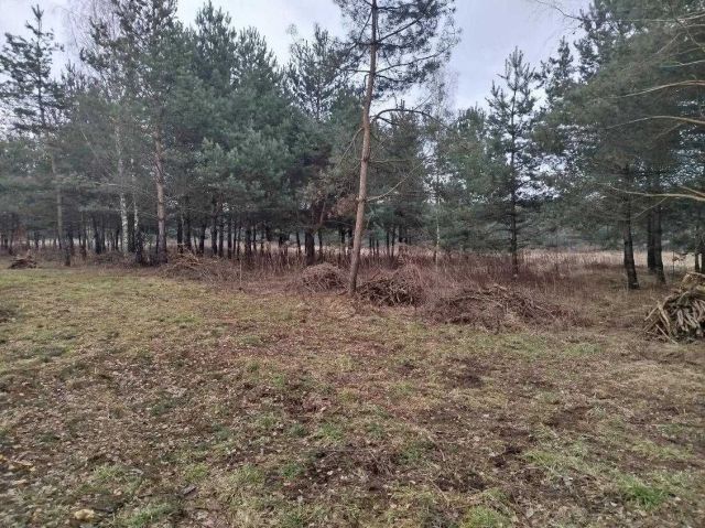 Działka budowlana Kiełkowice. Zdjęcie 1