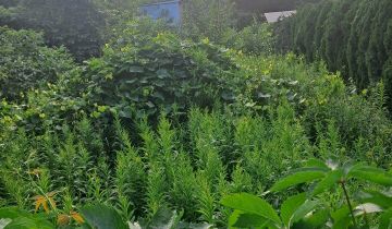 Działka budowlana Izabelin C