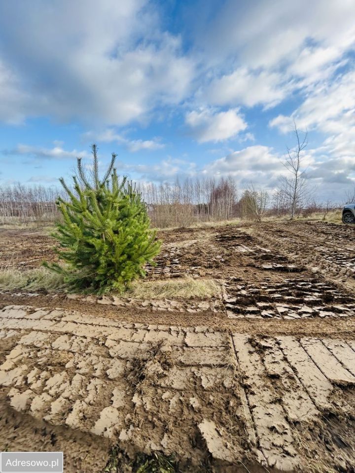 Działka budowlana Przyjaźń, ul. Złota. Zdjęcie 11