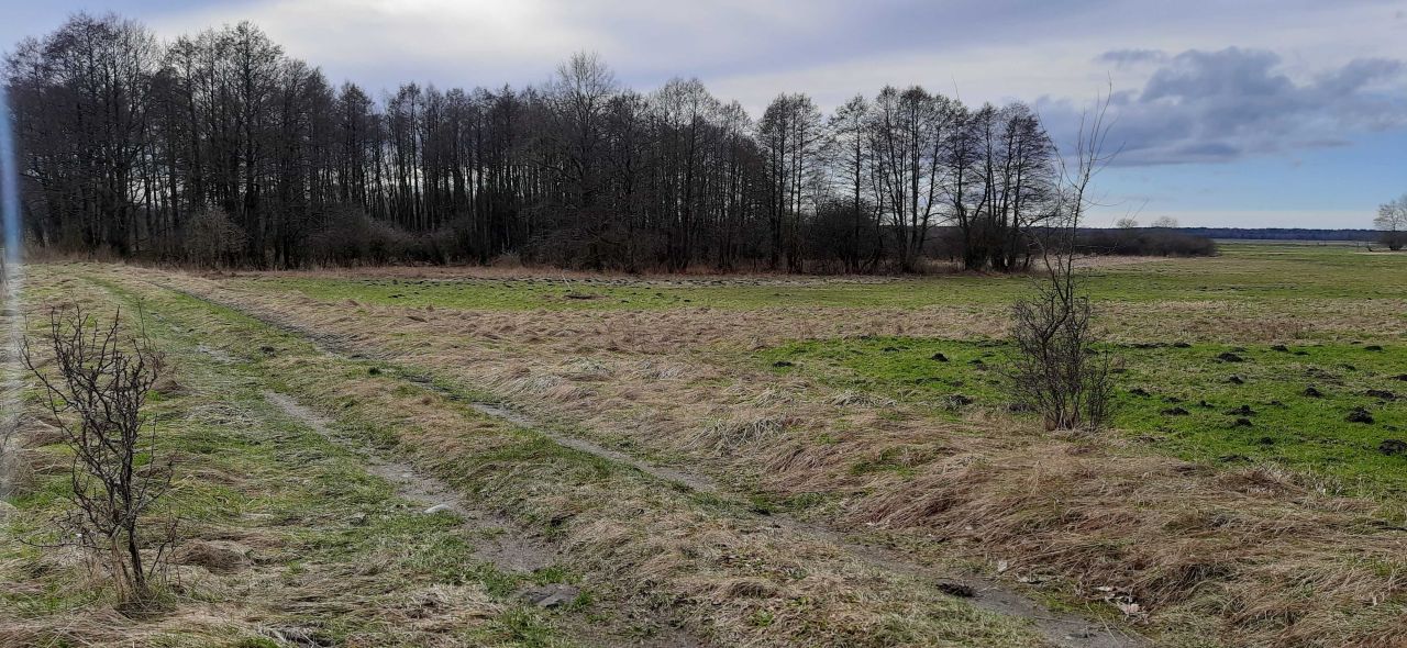 Działka budowlana Krakulice. Zdjęcie 6