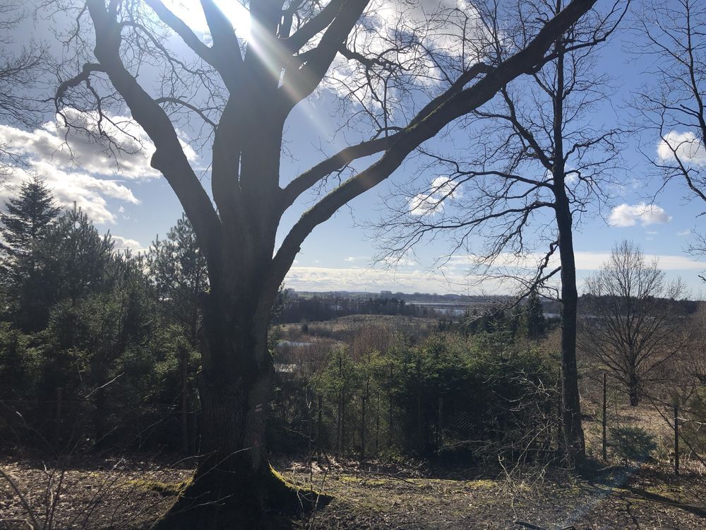 Działka budowlana Koszalin, ul. Lubiatowska. Zdjęcie 6