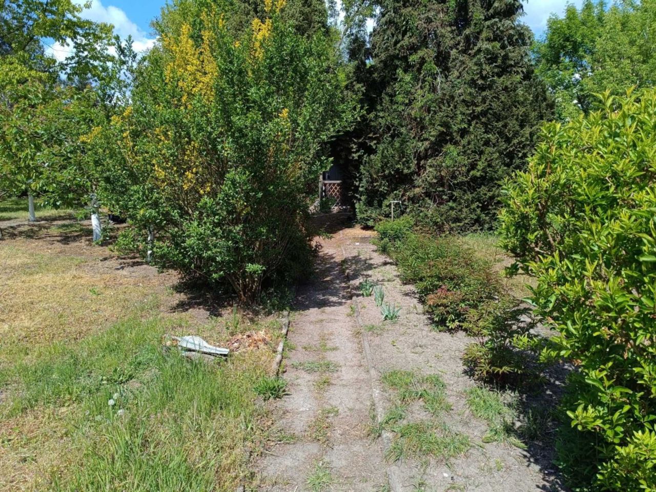 Działka rod Radom, ul. Uniwersytecka. Zdjęcie 7