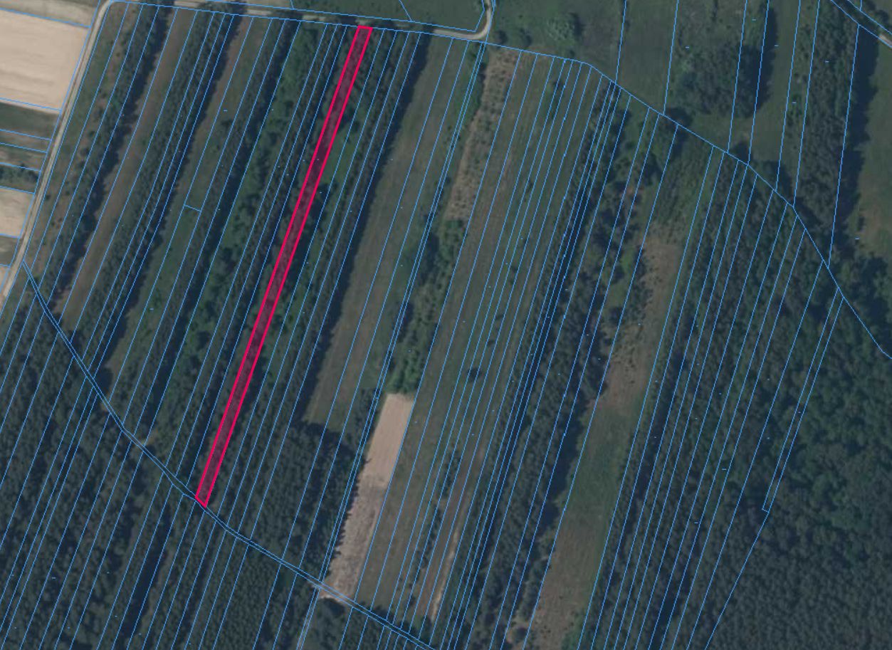 Działka leśna Żuków. Zdjęcie 2