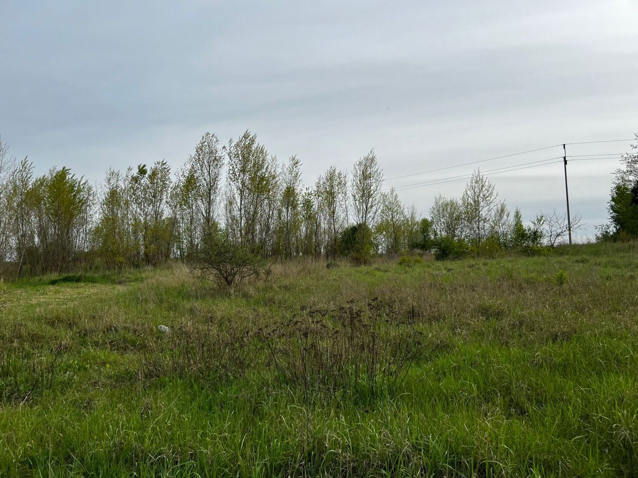 Działka rolna Kolsko, Kolsko. Zdjęcie 10