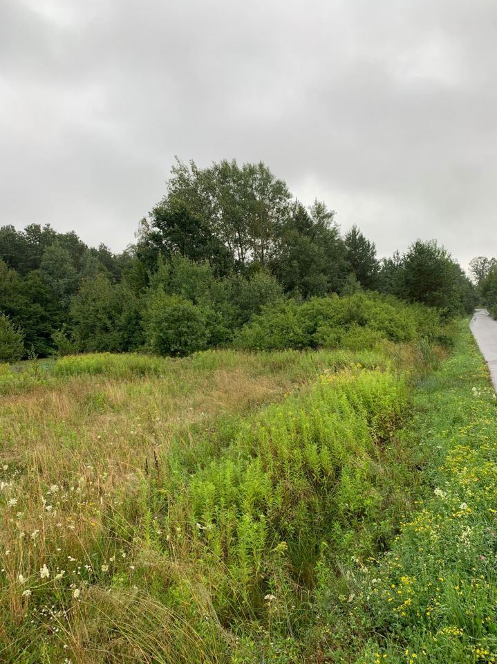 Działka budowlana Szczytniki. Zdjęcie 6