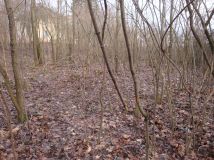 Działka rolno-budowlana Chrzanów Kąty, ul. Śląska. Zdjęcie 4