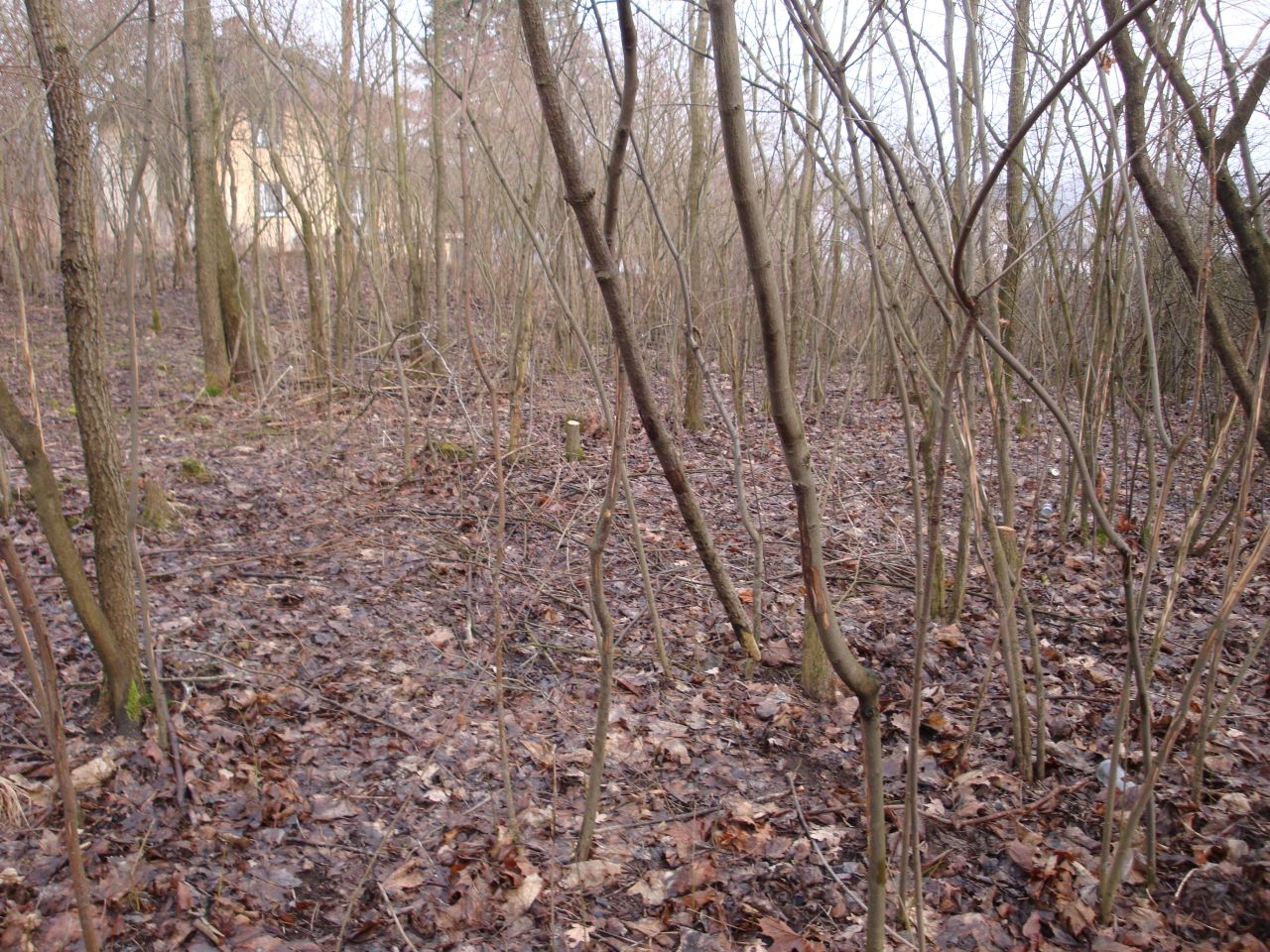 Działka budowlana Chrzanów Kąty, ul. Śląska. Zdjęcie 5