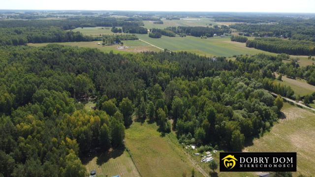 dom wolnostojący, 4 pokoje Zwierki. Zdjęcie 18