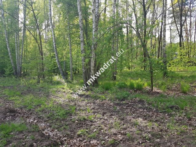 Działka rolna Stare Budy Radziejowskie. Zdjęcie 3