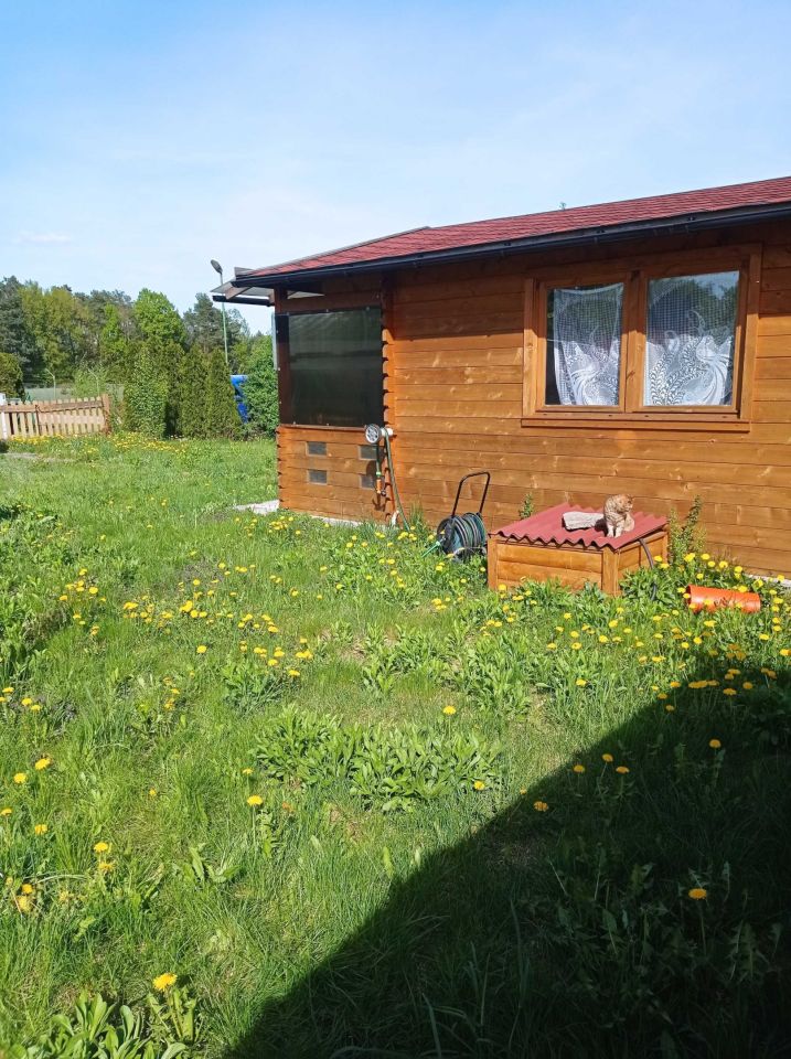 Działka rod Powązki. Zdjęcie 4