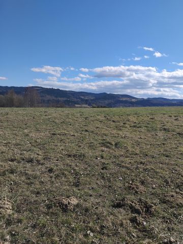 Działka rolna Gilowice Stary Dwór, ul. Działy Dworskie. Zdjęcie 1