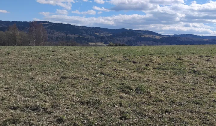 Działka rolna Gilowice Stary Dwór, ul. Działy Dworskie
