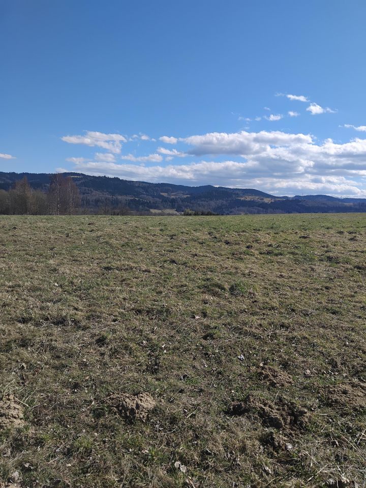 Działka rolna Gilowice Stary Dwór, ul. Działy Dworskie. Zdjęcie 1