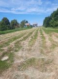 Działka rolno-budowlana Rączna. Zdjęcie 1