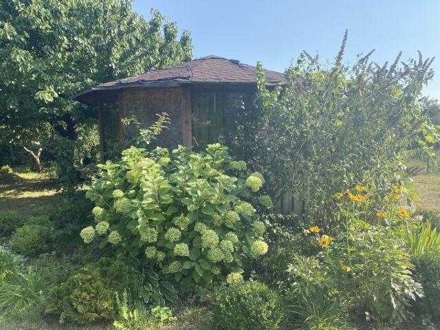 Działka rod Września, ul. Działkowców. Zdjęcie 1