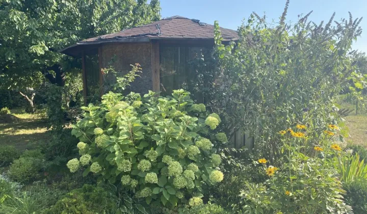 Działka rod Września, ul. Działkowców