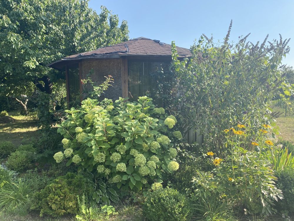 Działka rod Września, ul. Działkowców. Zdjęcie 8