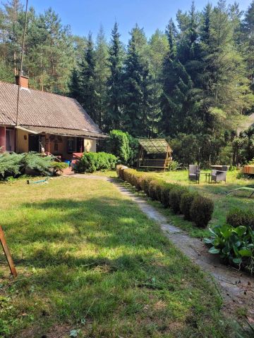 Działka leśna Ulaski Gostomskie. Zdjęcie 1