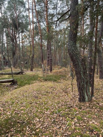 Działka rekreacyjna Osiedle Wilga. Zdjęcie 1