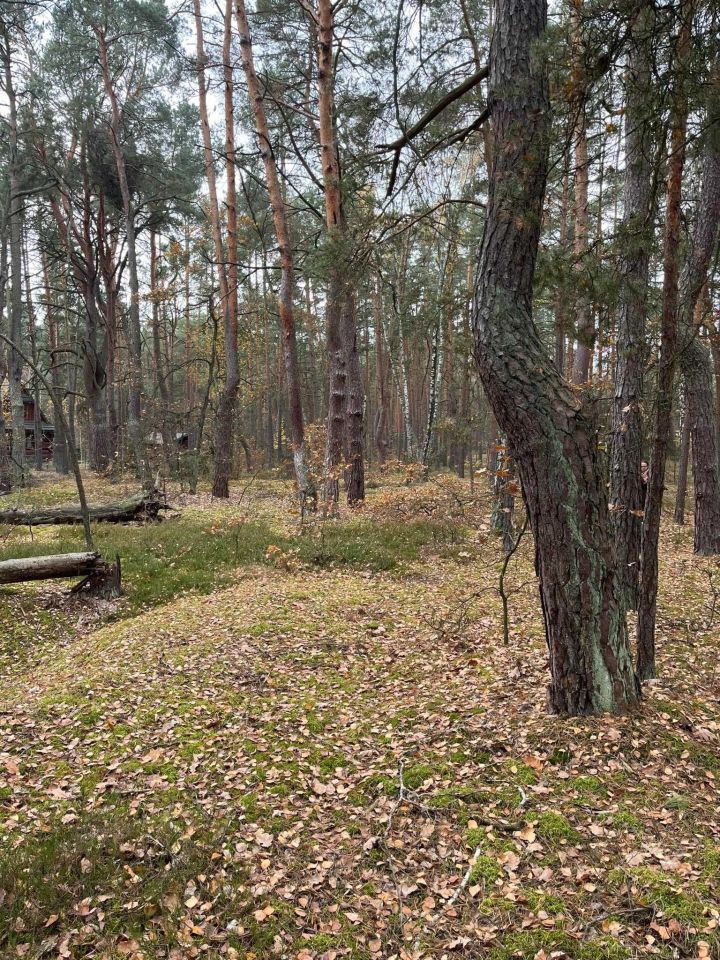 Działka rekreacyjna Osiedle Wilga