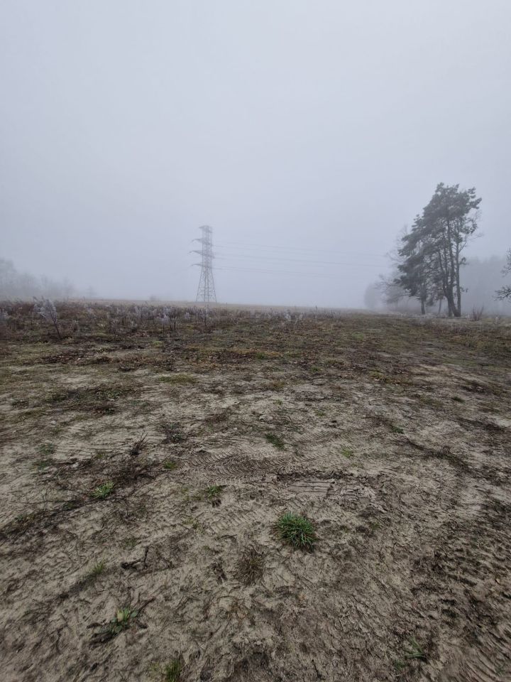 Działka rolna Morzyczyn, ul. Bolesława Chrobrego. Zdjęcie 4
