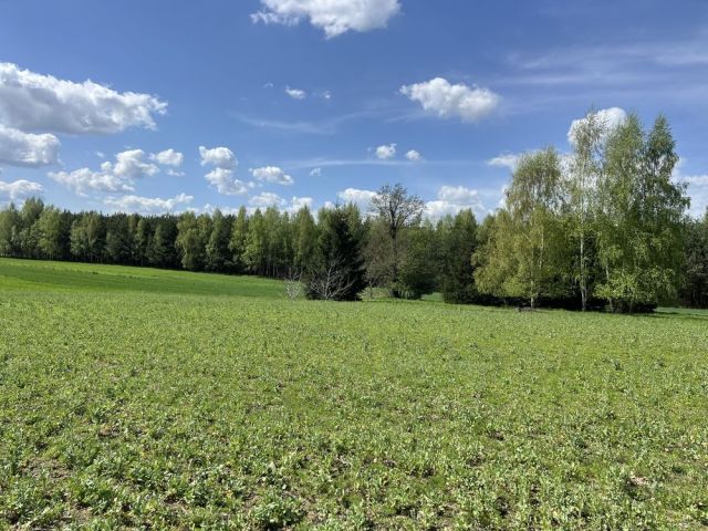 Działka budowlana Grzęska. Zdjęcie 1