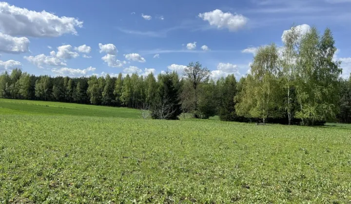 Działka budowlana Grzęska