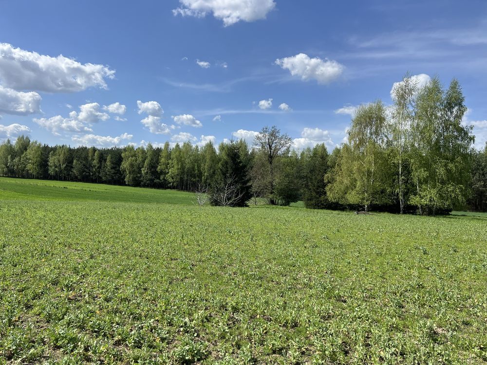 Działka budowlana Grzęska