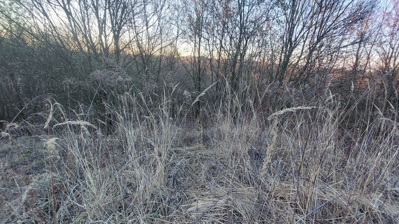 Działka rolna Kraków Łagiewniki, ul. Krzemieniecka. Zdjęcie 3